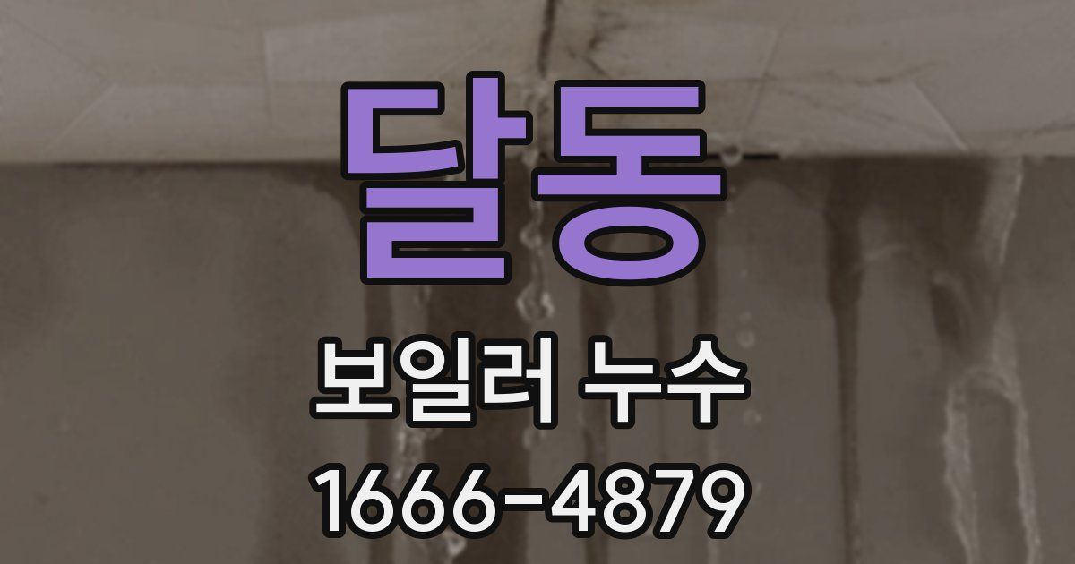 달동 보일러 누수
