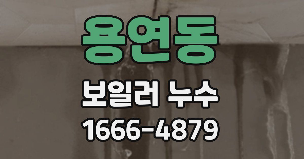 용연동 보일러 누수