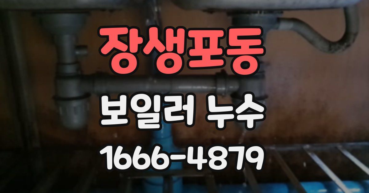 장생포동 보일러 누수