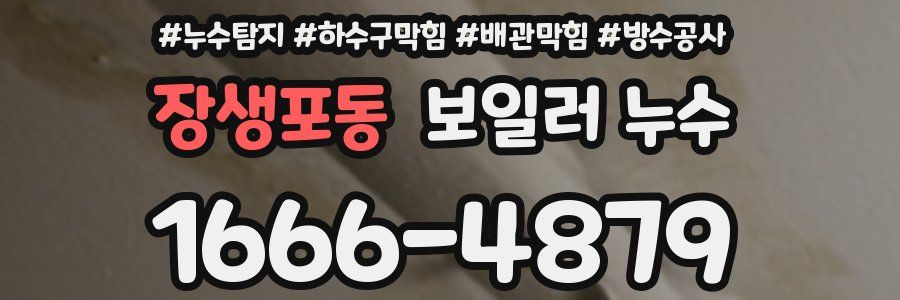 장생포동 보일러 누수
