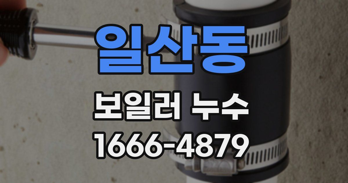 일산동 보일러 누수