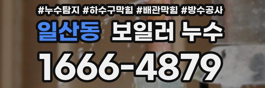 일산동 보일러 누수