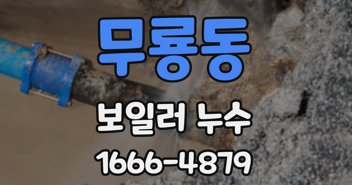 무룡동 보일러 누수