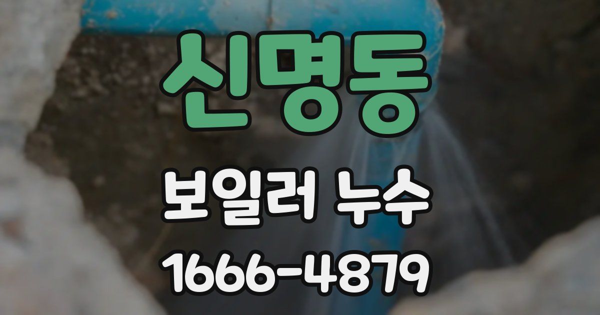 신명동 보일러 누수