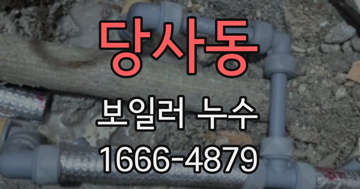 당사동 보일러 누수