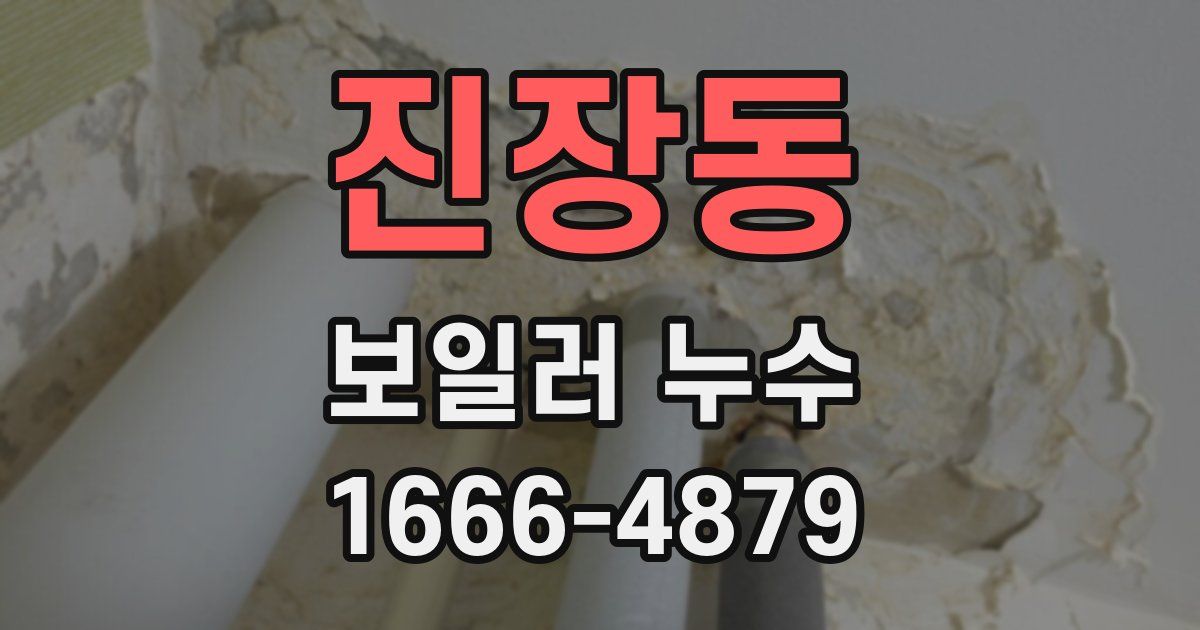 진장동 보일러 누수
