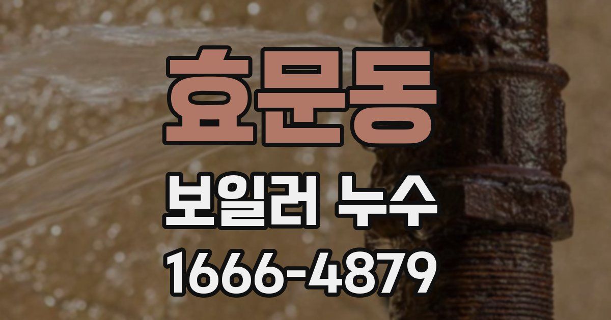 효문동 보일러 누수