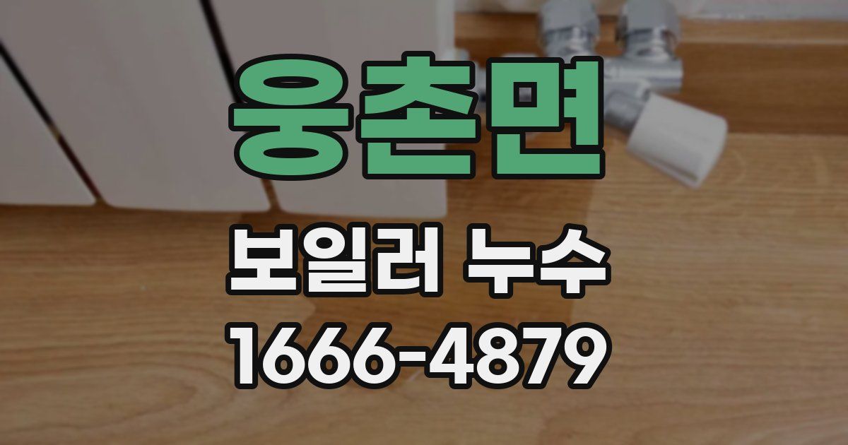웅촌면 보일러 누수