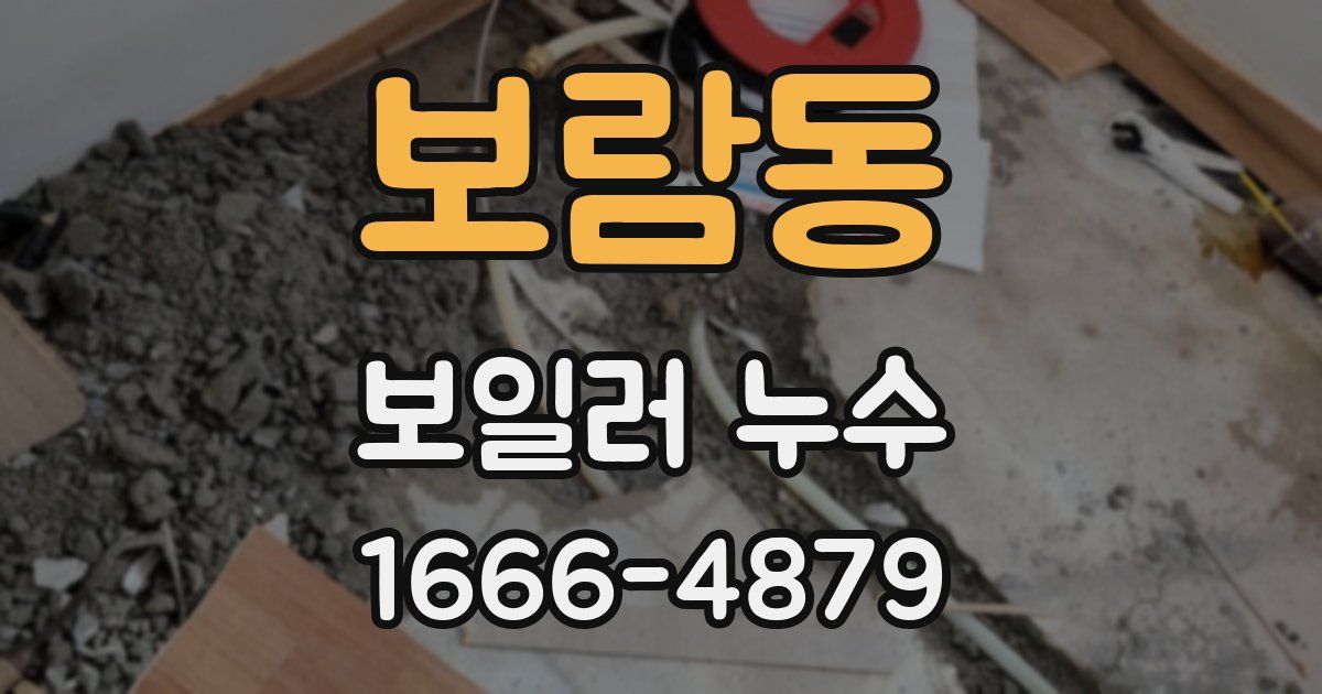 보람동 보일러 누수