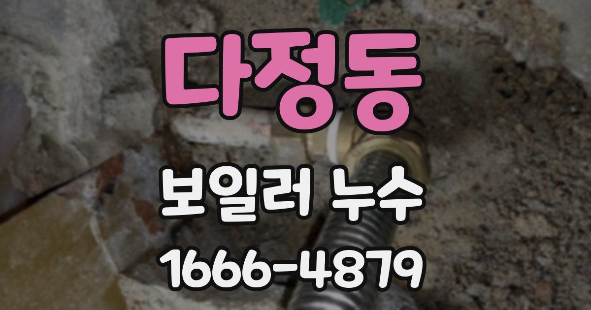 다정동 보일러 누수