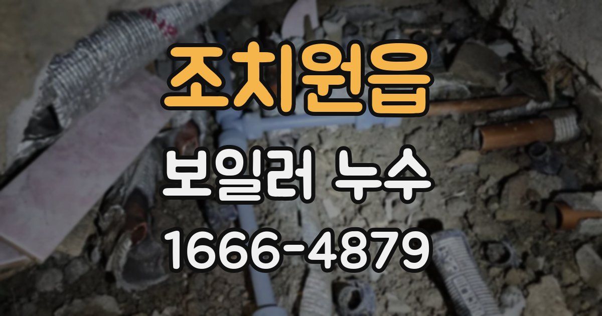 조치원읍 보일러 누수