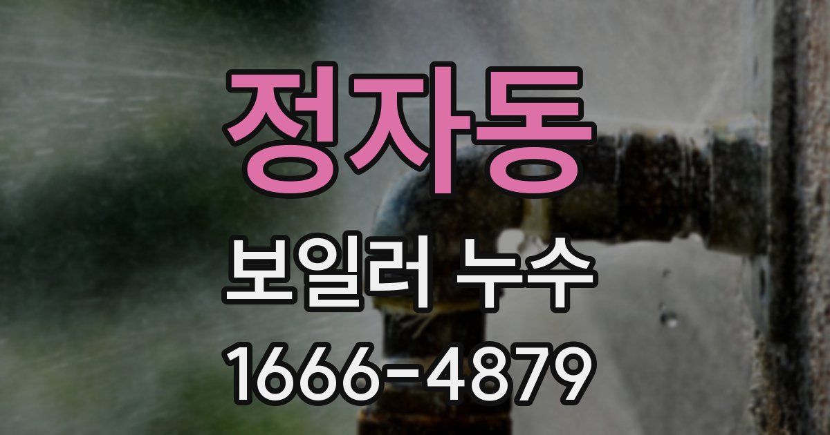 정자동 보일러 누수