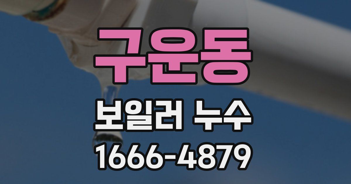 구운동 보일러 누수
