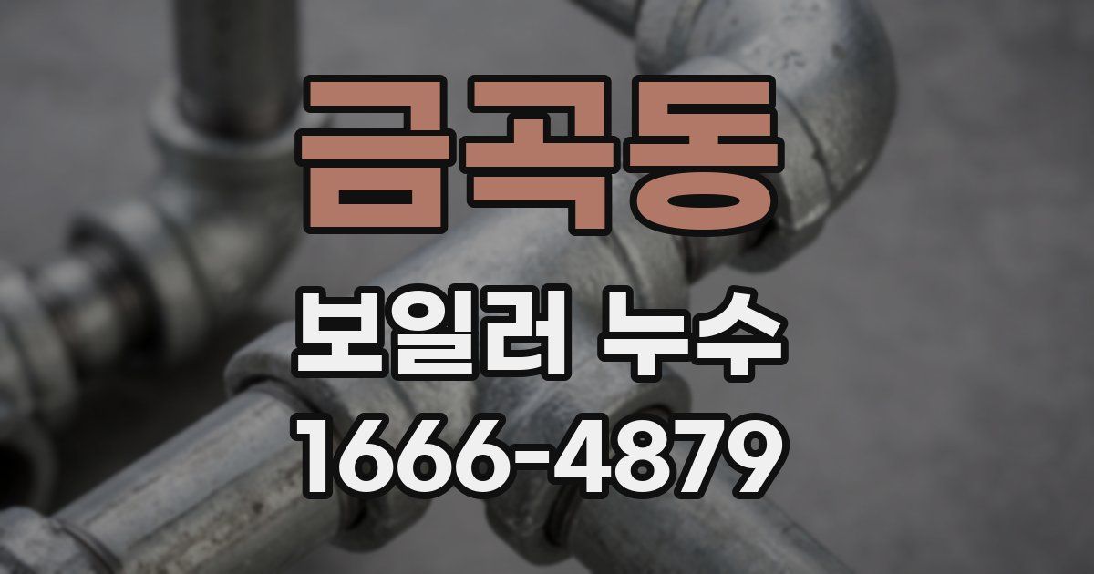 금곡동 보일러 누수