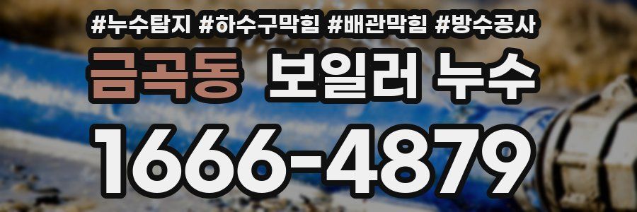 금곡동 보일러 누수