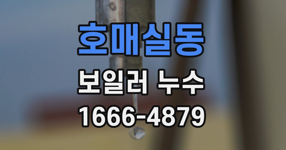 호매실동 보일러 누수