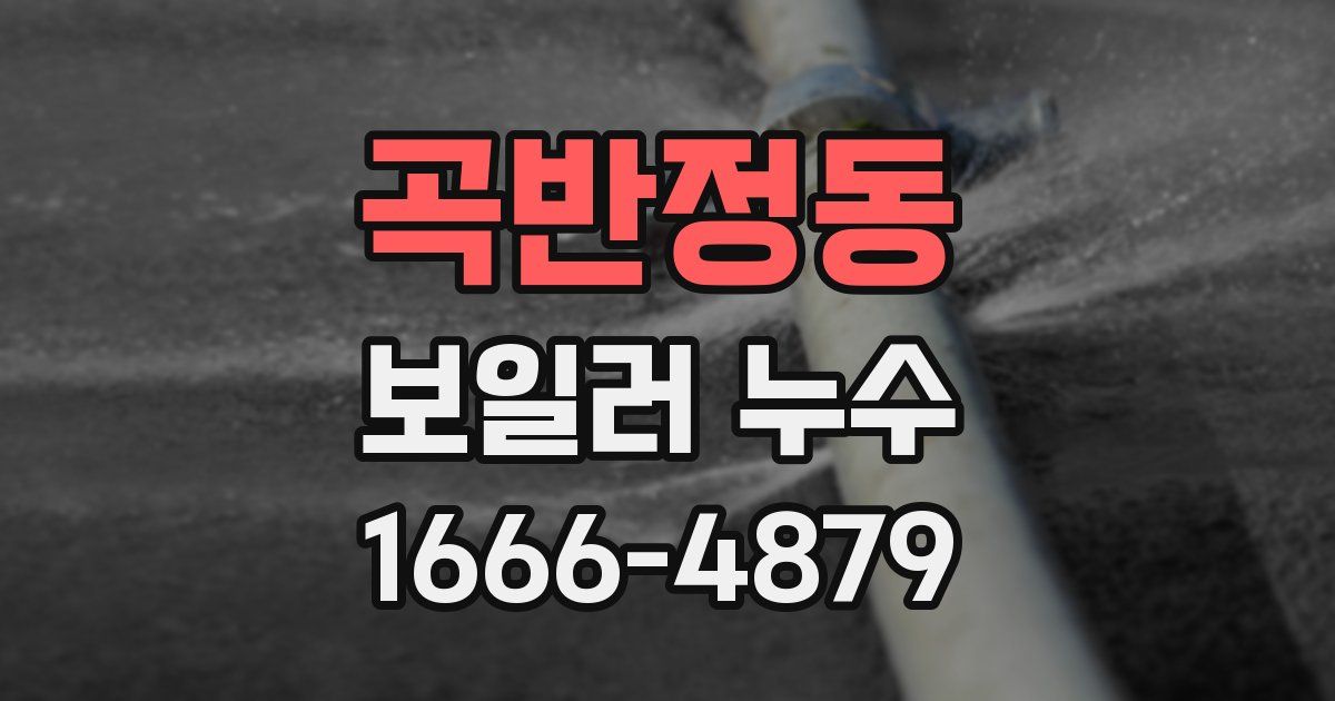 곡반정동 보일러 누수