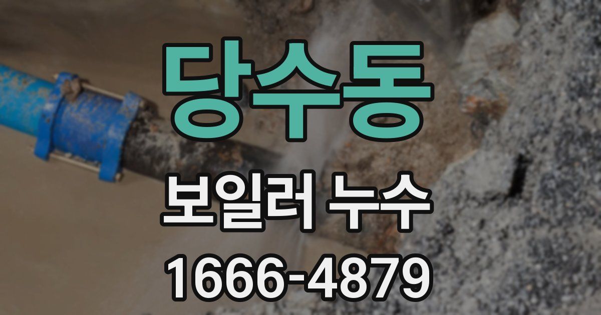 당수동 보일러 누수