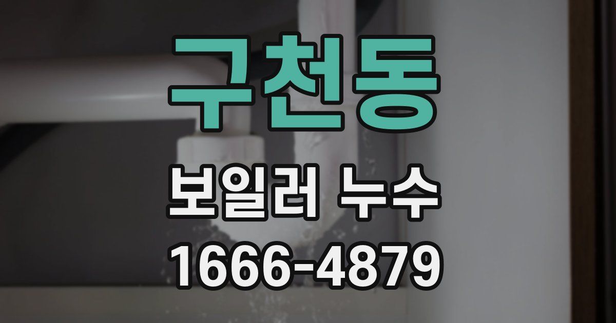 구천동 보일러 누수