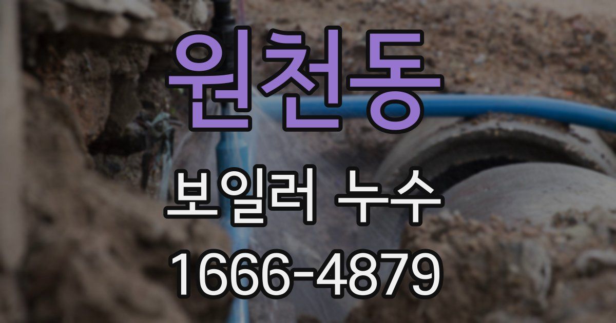 원천동 보일러 누수