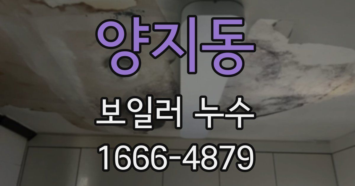 양지동 보일러 누수