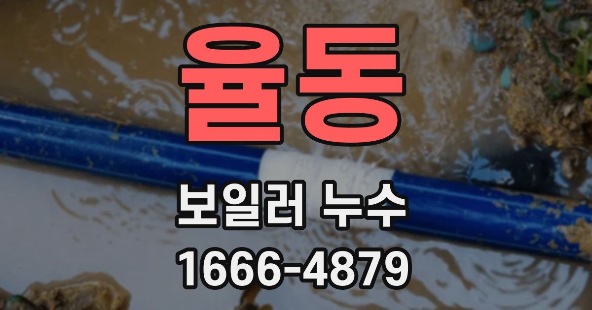 율동 보일러 누수