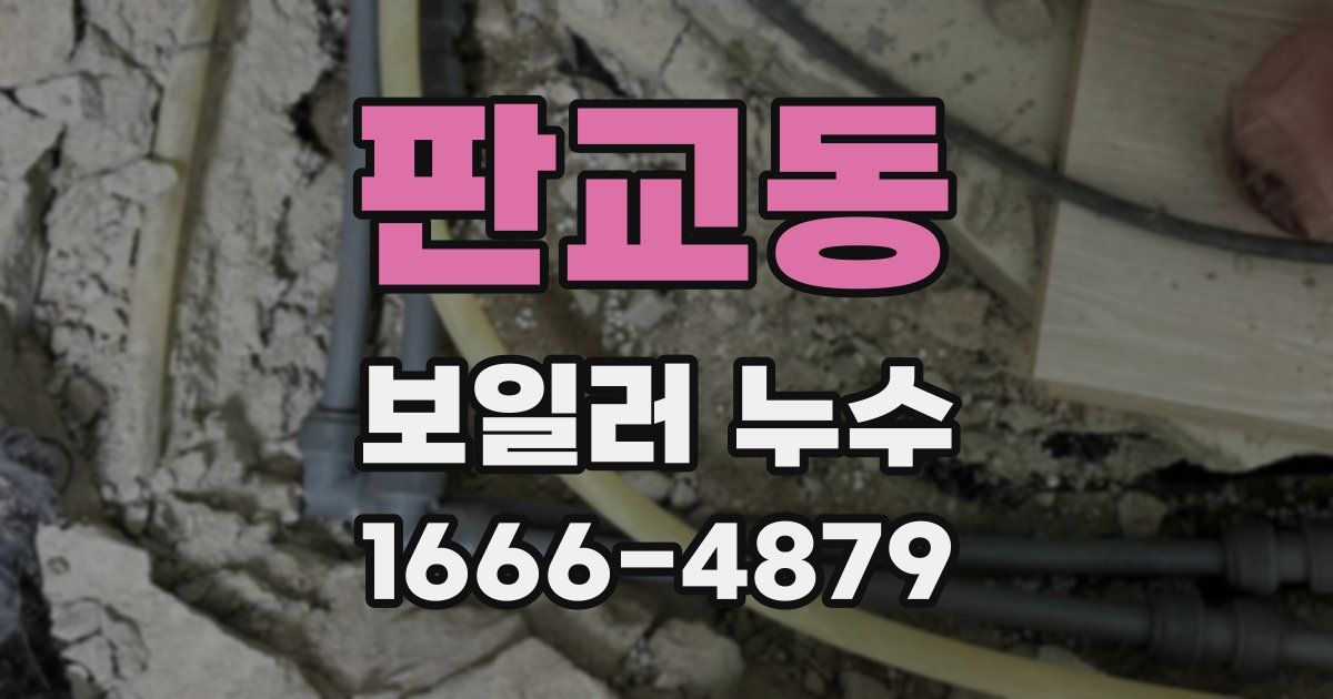 판교동 보일러 누수