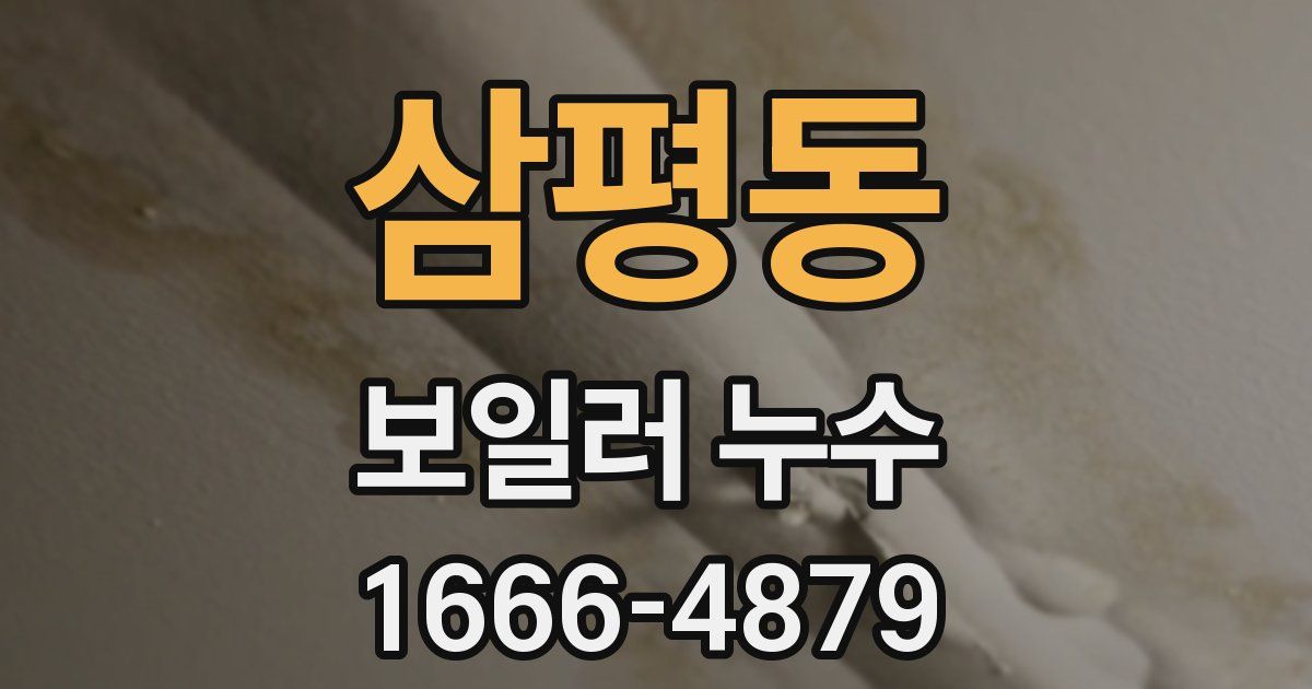 삼평동 보일러 누수