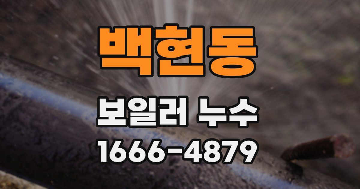 백현동 보일러 누수