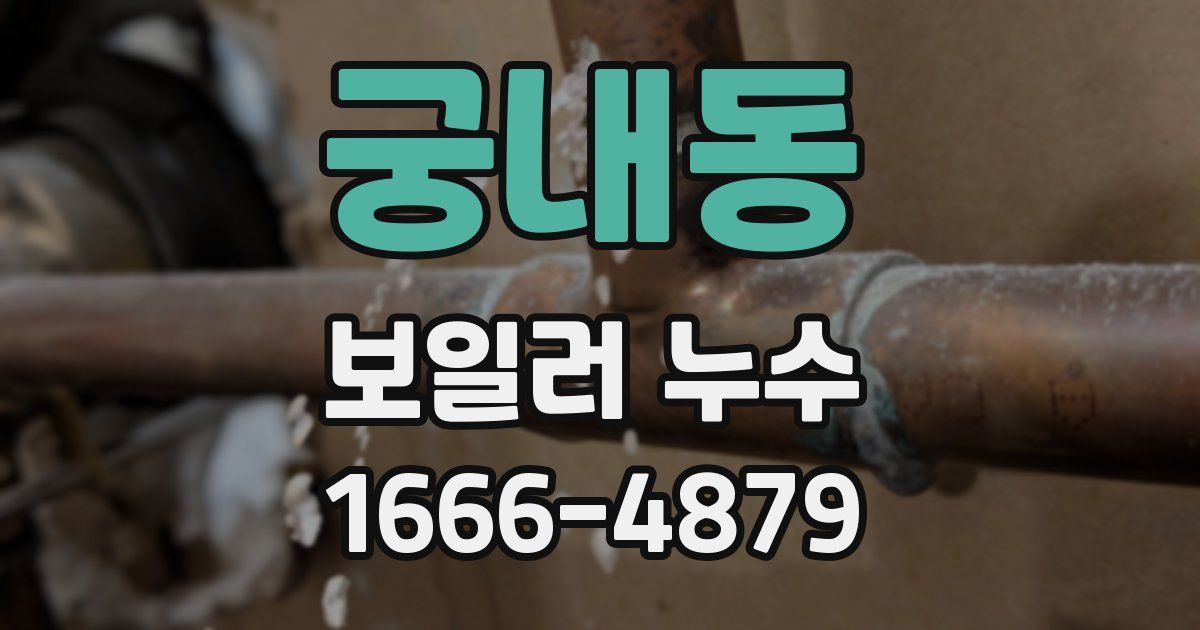 궁내동 보일러 누수