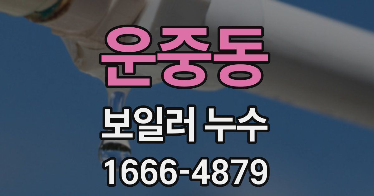 운중동 보일러 누수