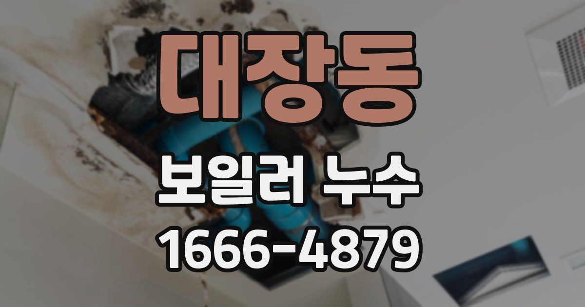 대장동 보일러 누수