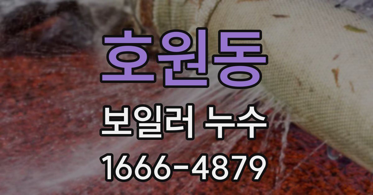 호원동 보일러 누수