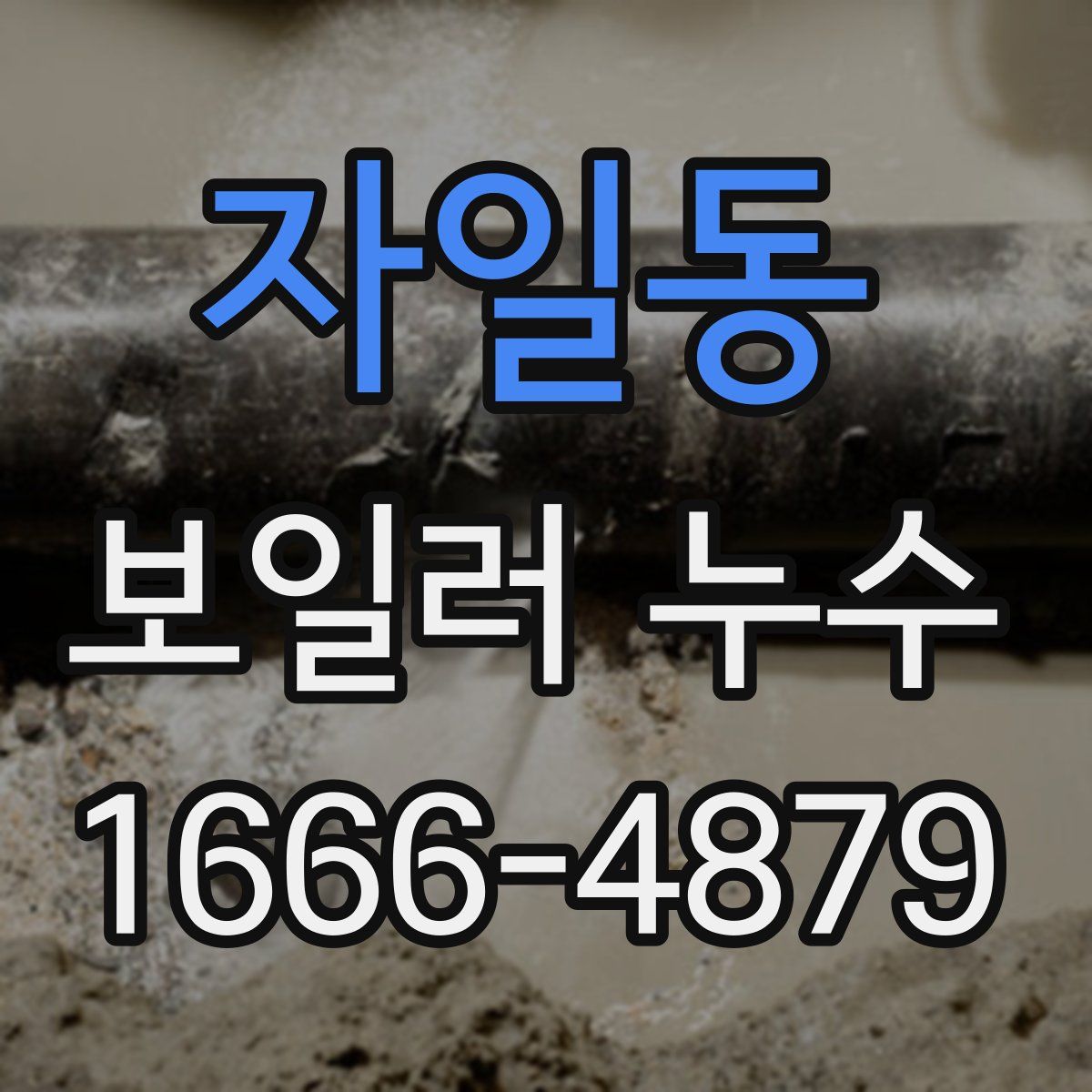 자일동 보일러 누수