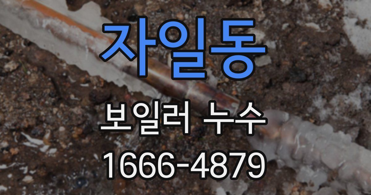 자일동 보일러 누수