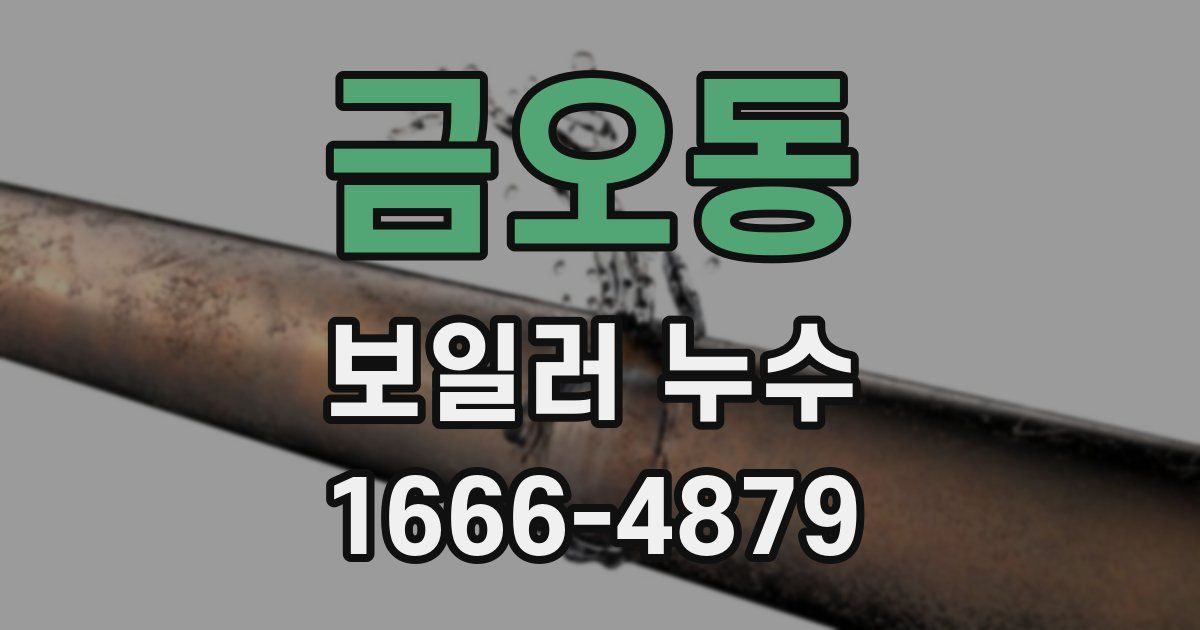 금오동 보일러 누수
