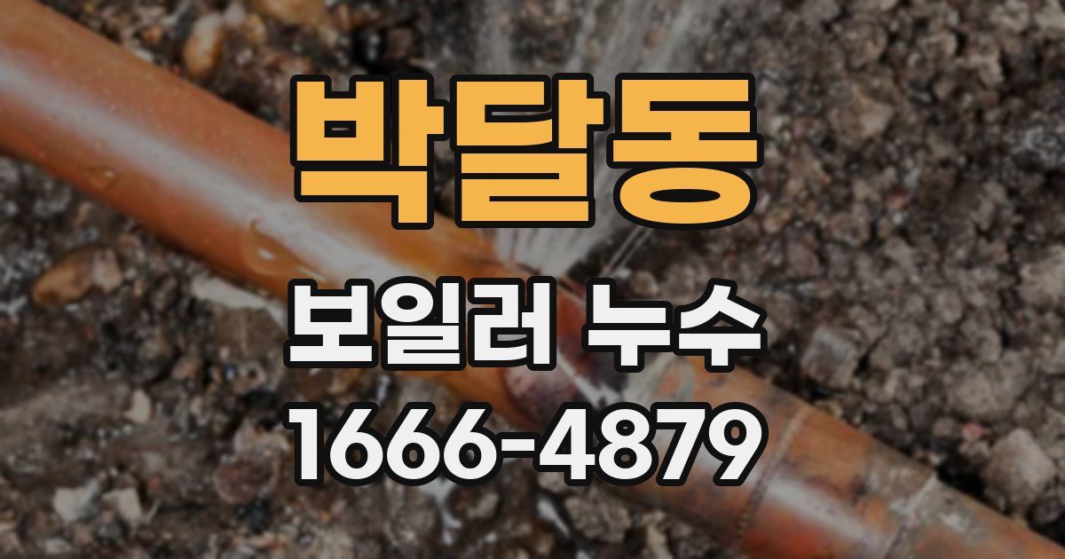 박달동 보일러 누수