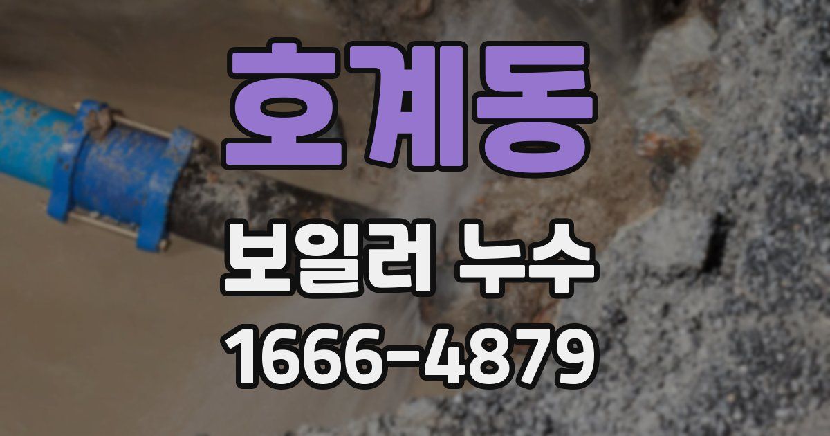 호계동 보일러 누수