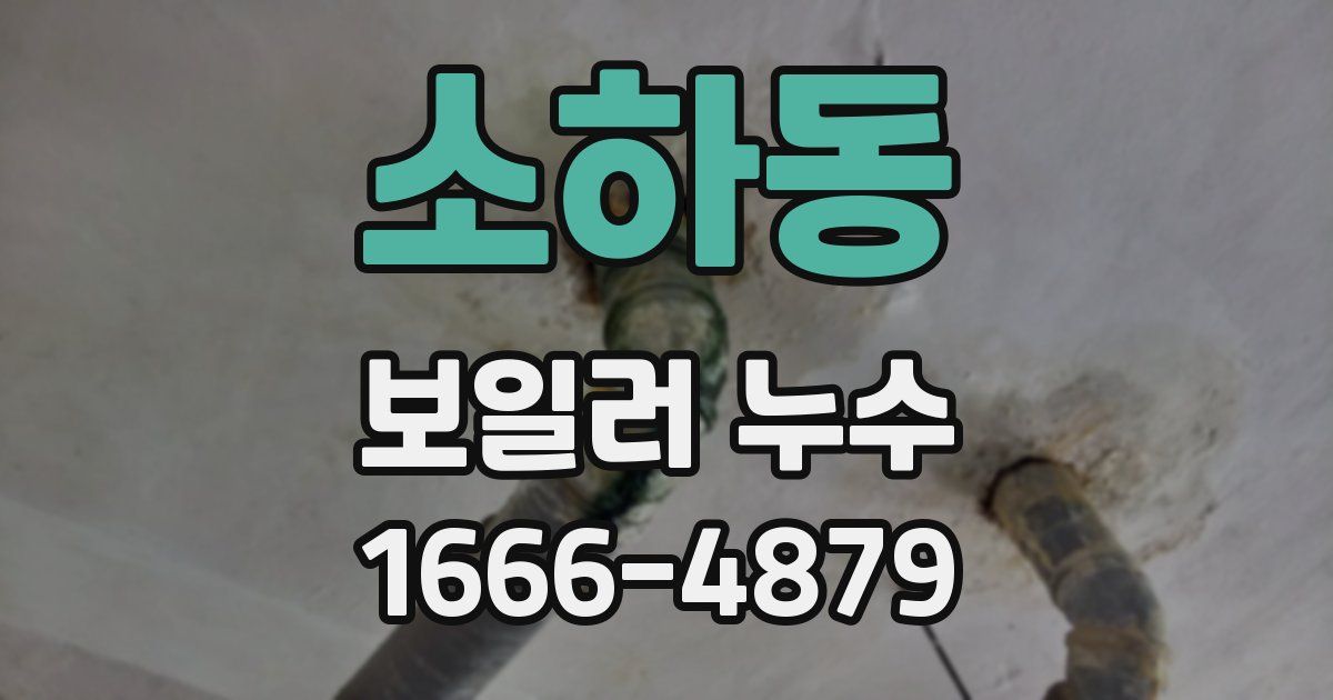 소하동 보일러 누수