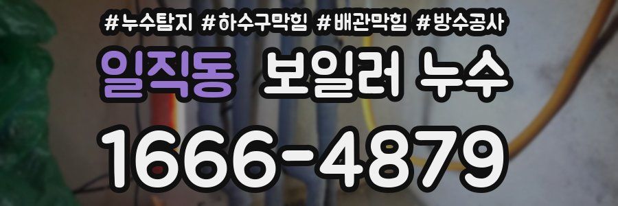 일직동 보일러 누수