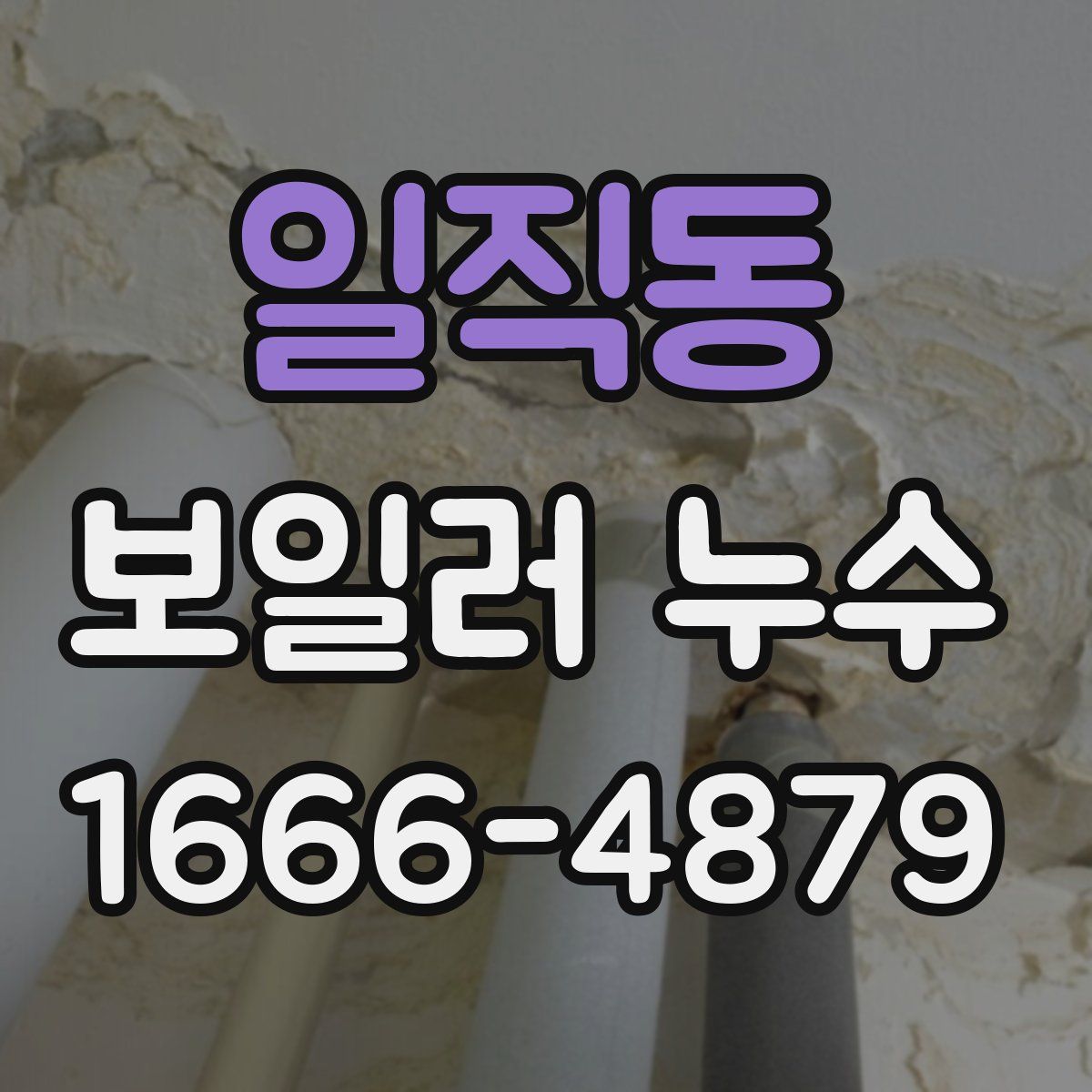 일직동 보일러 누수