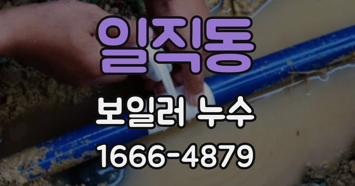 일직동 보일러 누수
