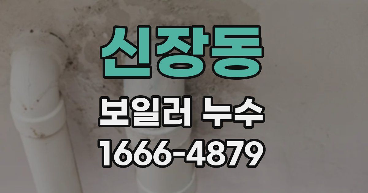 신장동 보일러 누수