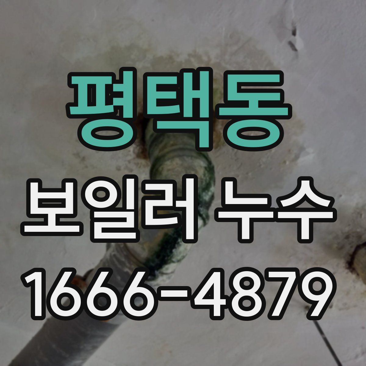 평택동 보일러 누수