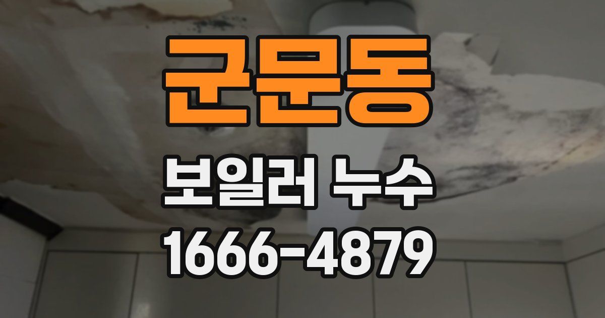 군문동 보일러 누수