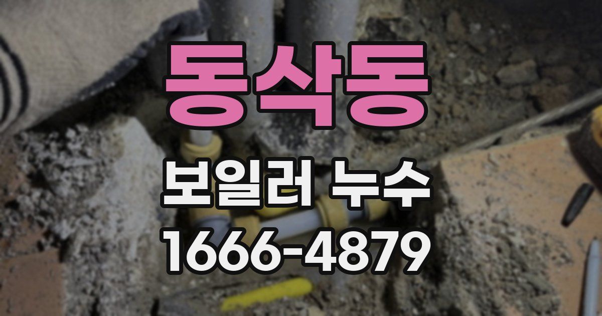 동삭동 보일러 누수
