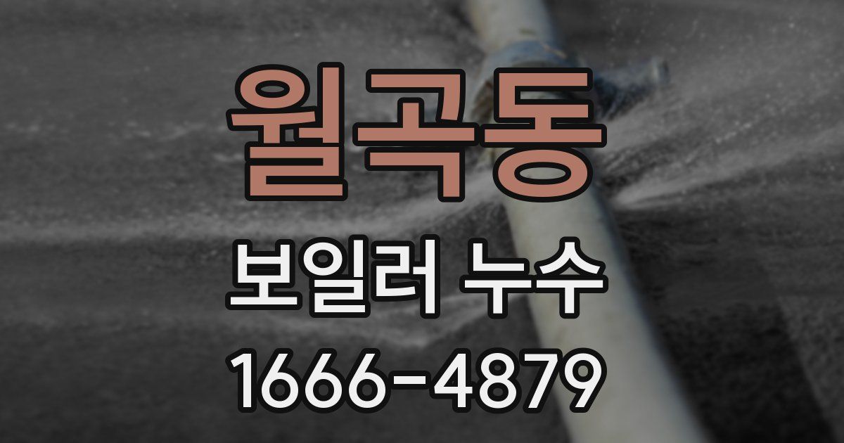 월곡동 보일러 누수