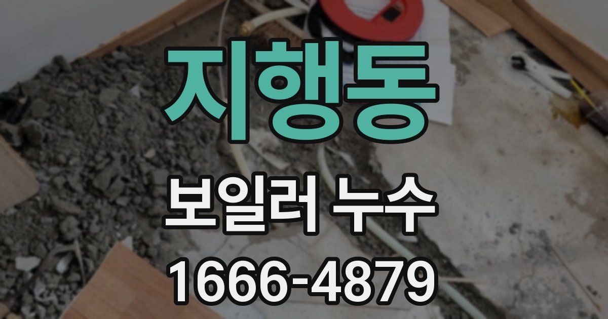 지행동 보일러 누수