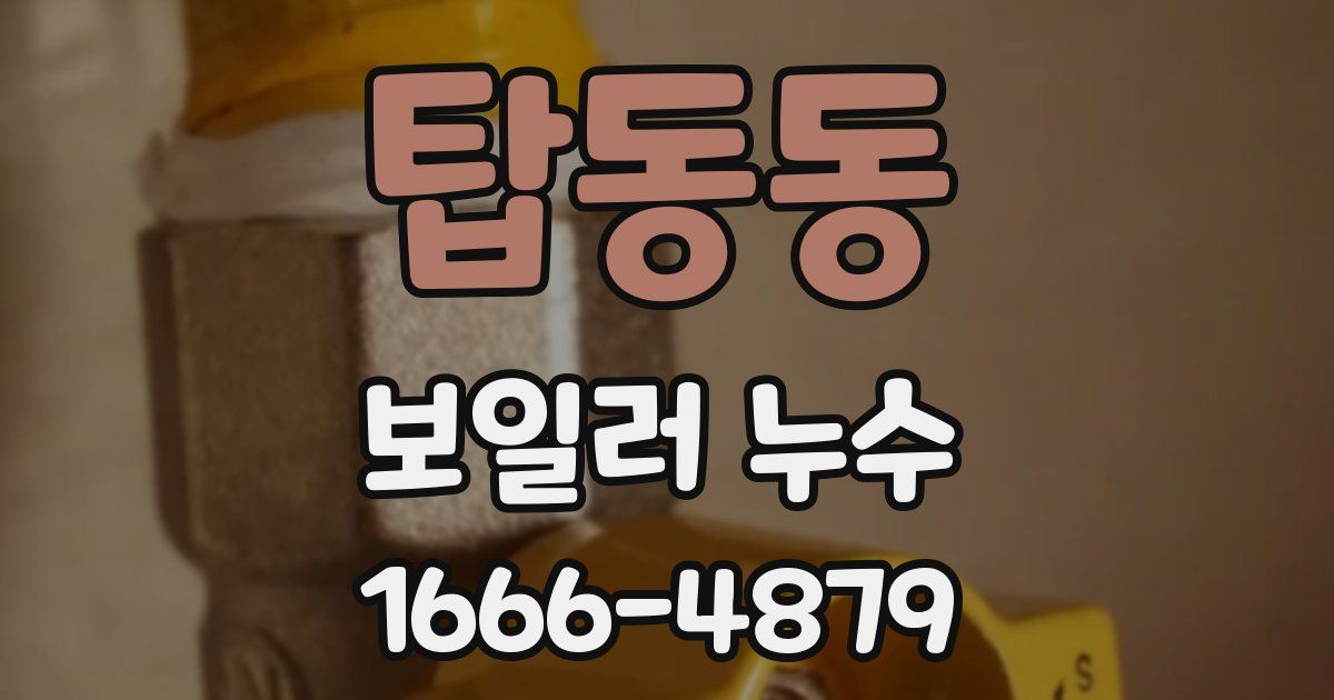 탑동동 보일러 누수
