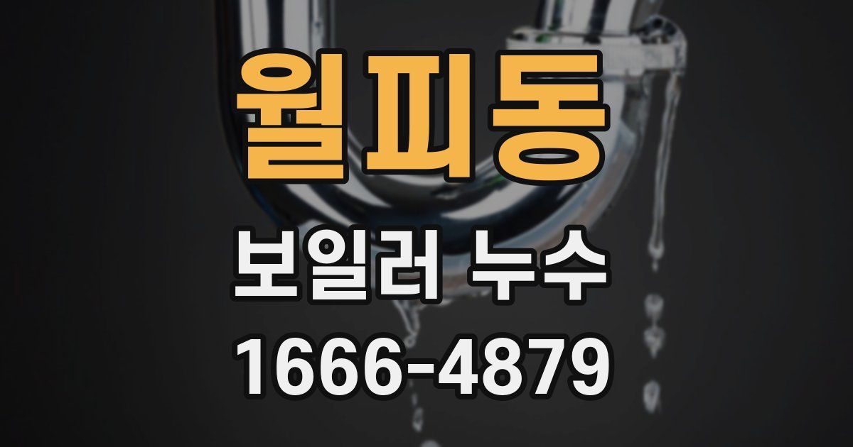 월피동 보일러 누수